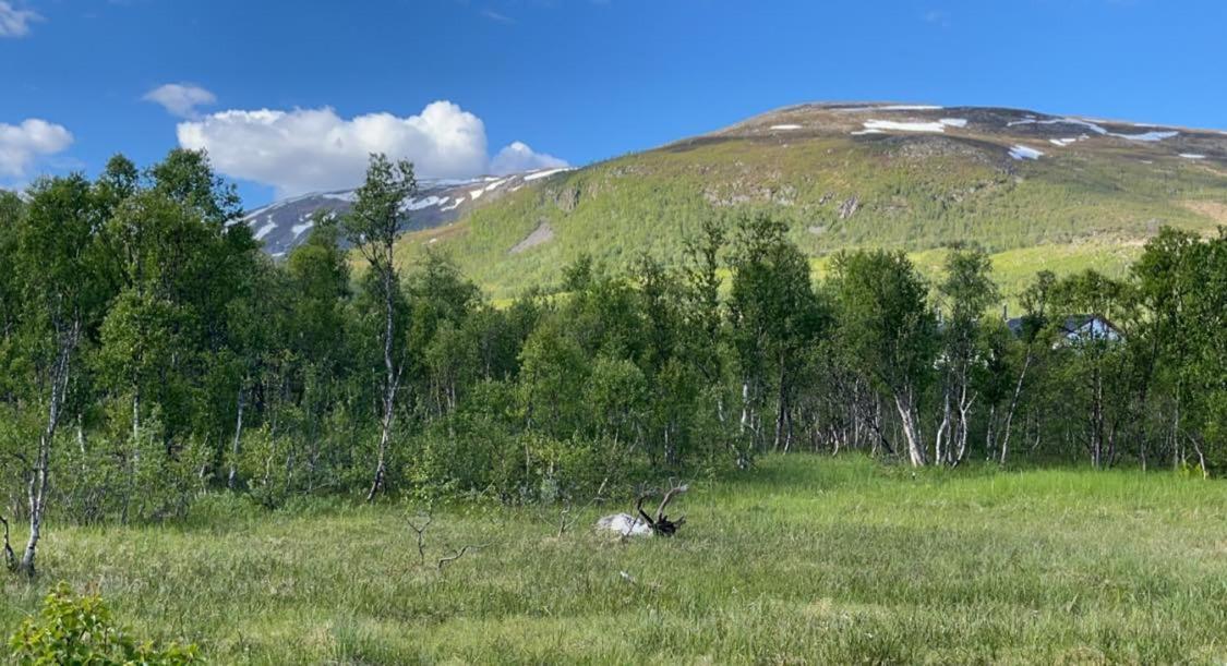 Great Villa With Amazing View Tromso Luaran gambar